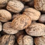 Frutos Secos en Navidad