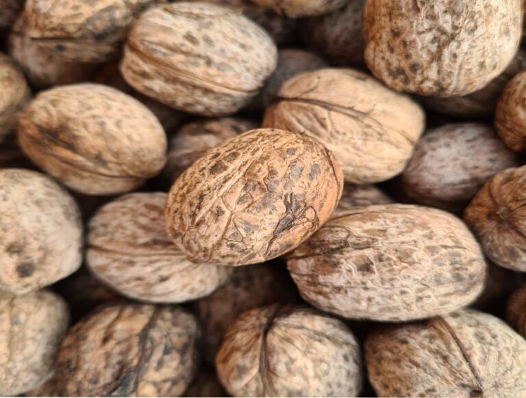 Frutos Secos en Navidad