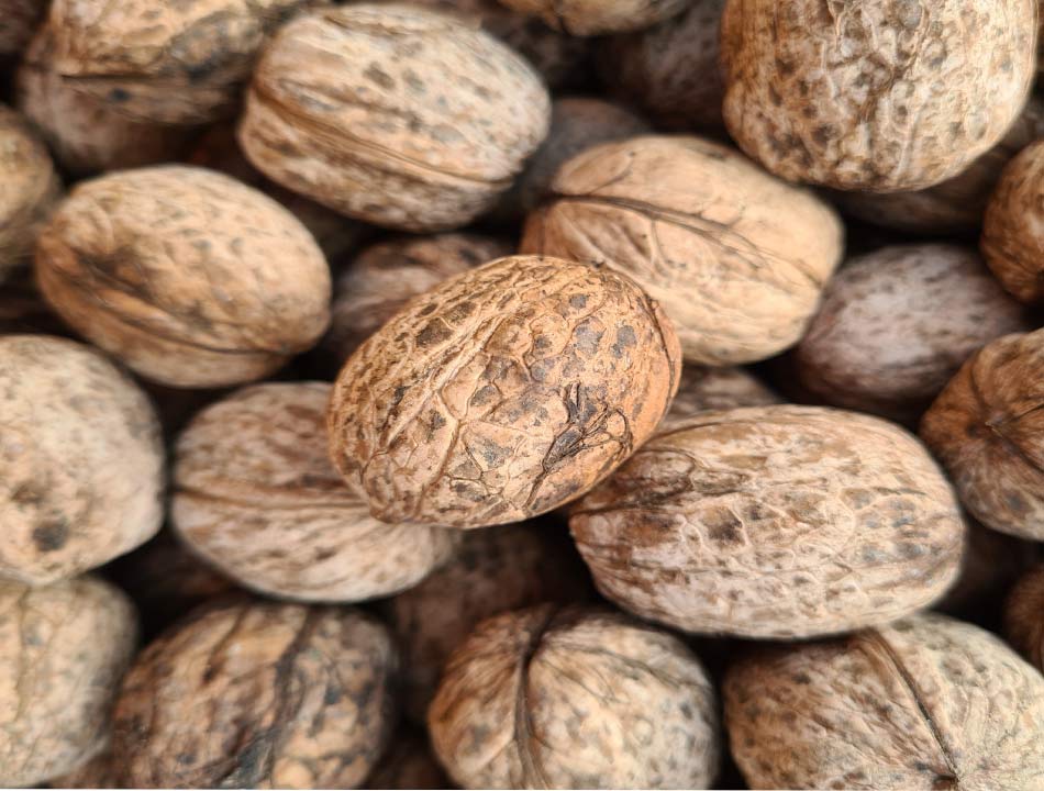 Frutos Secos en Navidad